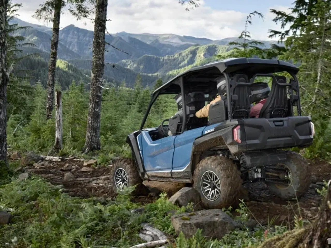 Billede 5 - Yamaha Wolverine RMAX4 1000 Compact LE