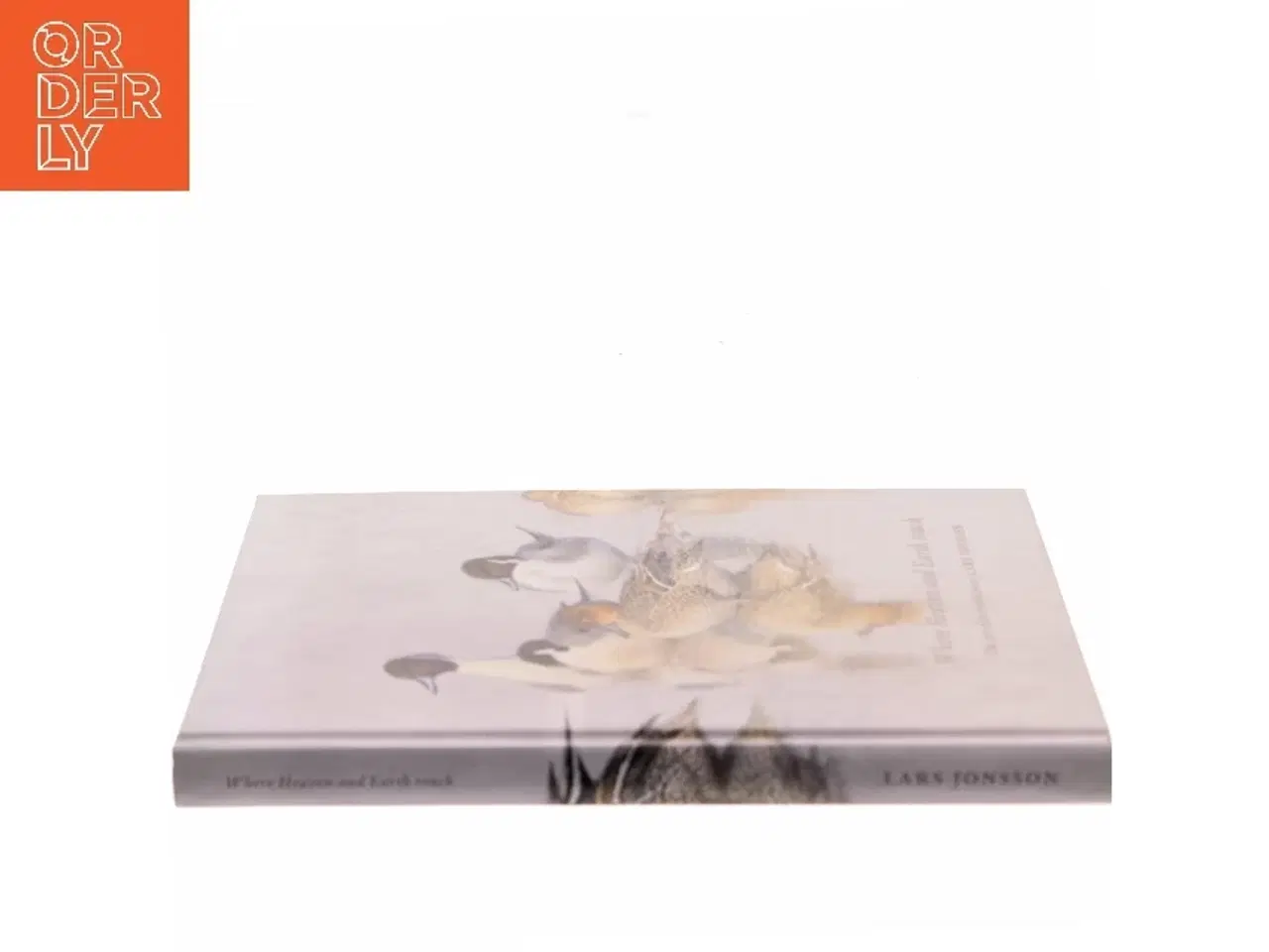 Billede 2 - Where Heaven and Earth Touch af Lars Jonsson (Bog)