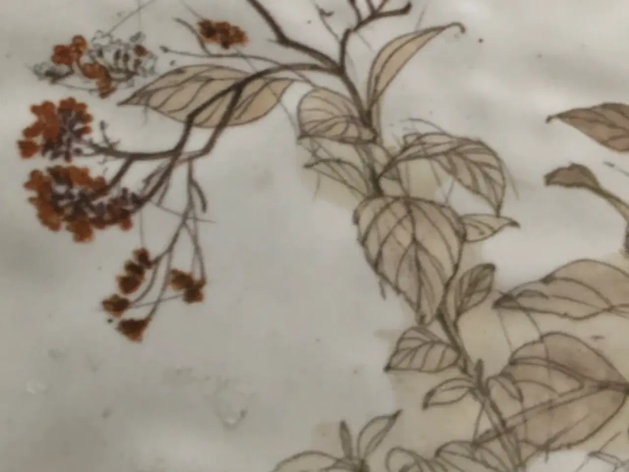 Billede 5 - Mads stage Kakler,fliser .Middelfart 