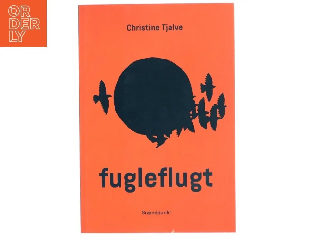 Billede 1 - Fugleflugt : roman af Christine Tjalve (Bog)