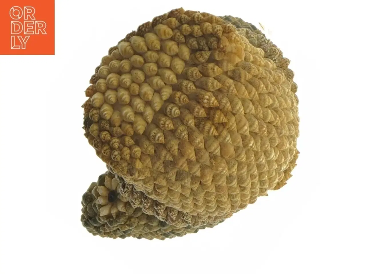 Billede 6 - Uglefigur af skaller (str. 20 cm)