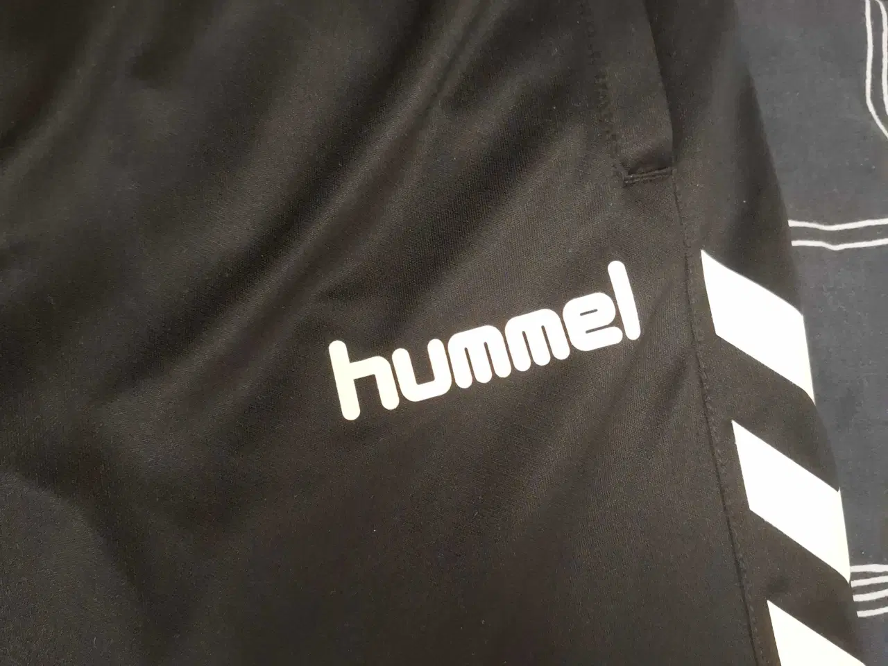 Billede 5 - Hummel busker M.