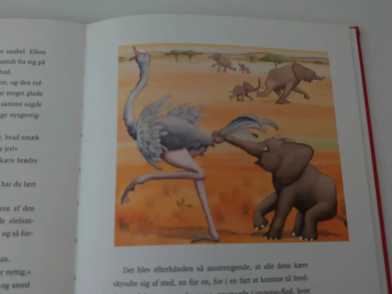 Billede 3 - R. Kipling:Hvordan elefanten fik sin lange snabel.