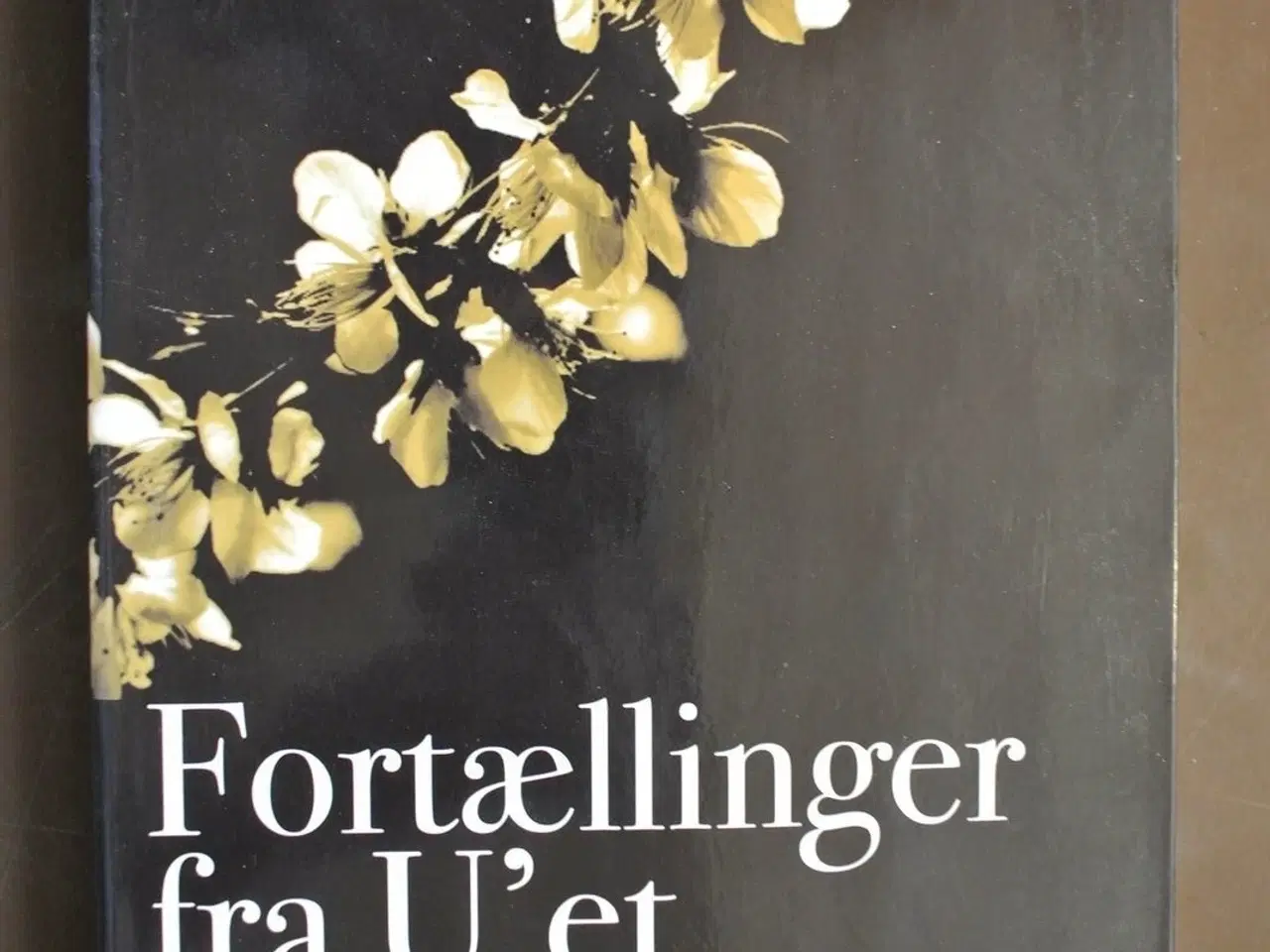 Billede 1 - fortællinger fra u'et - teori u omsat i liv. lærin