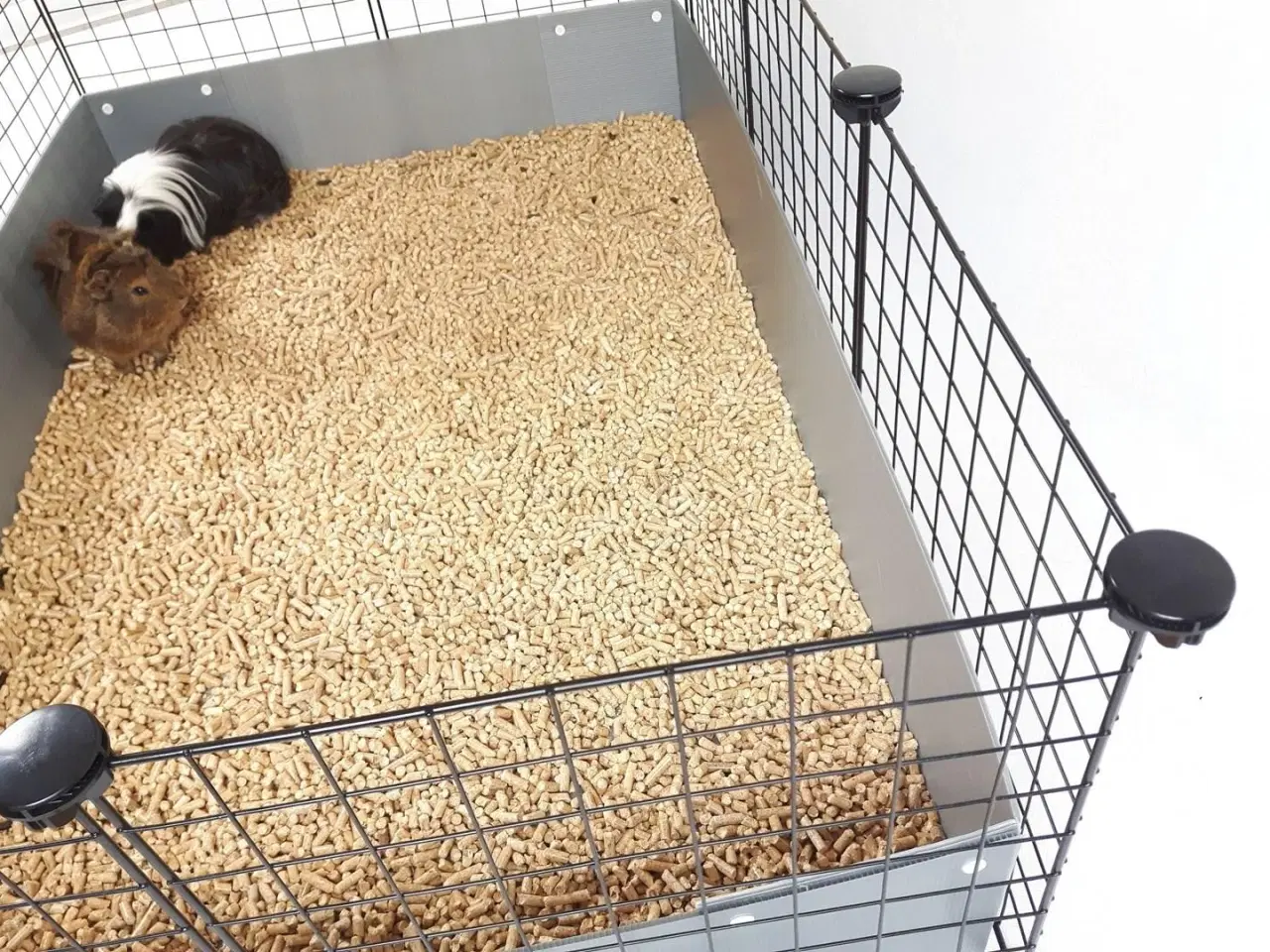 Billede 4 - Gnaverbure – C&C modulbur 4x2 med loft 2x1 og grå rampe