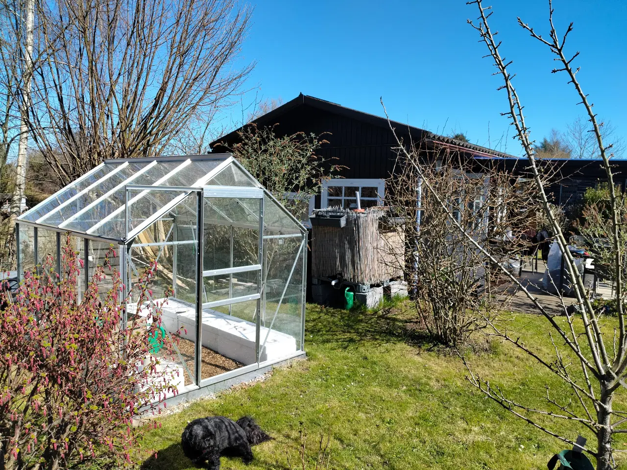 Billede 8 - Dejlig kolonihave