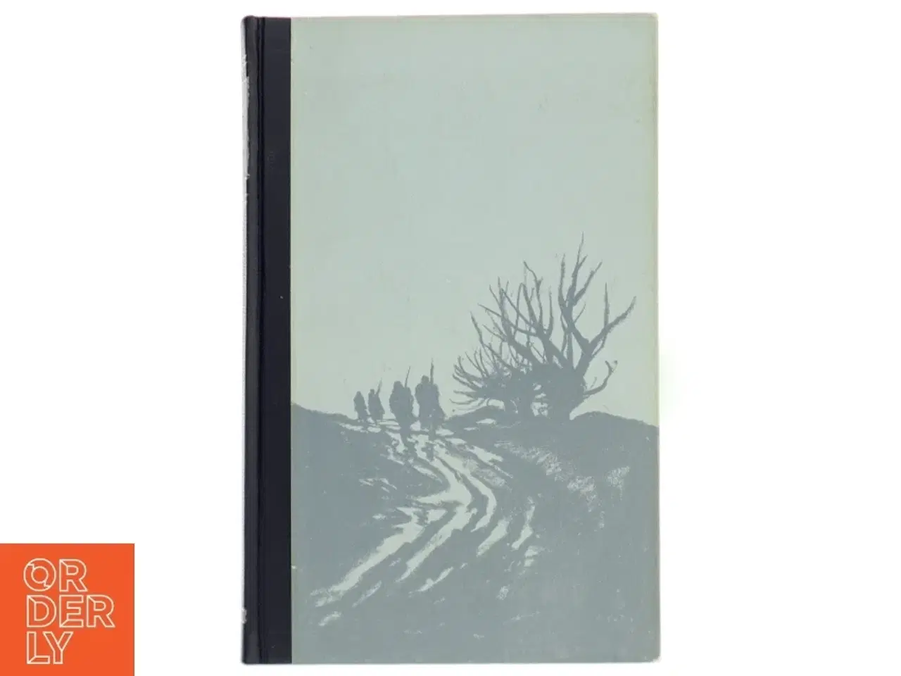Billede 1 - Herman Bang, Tine