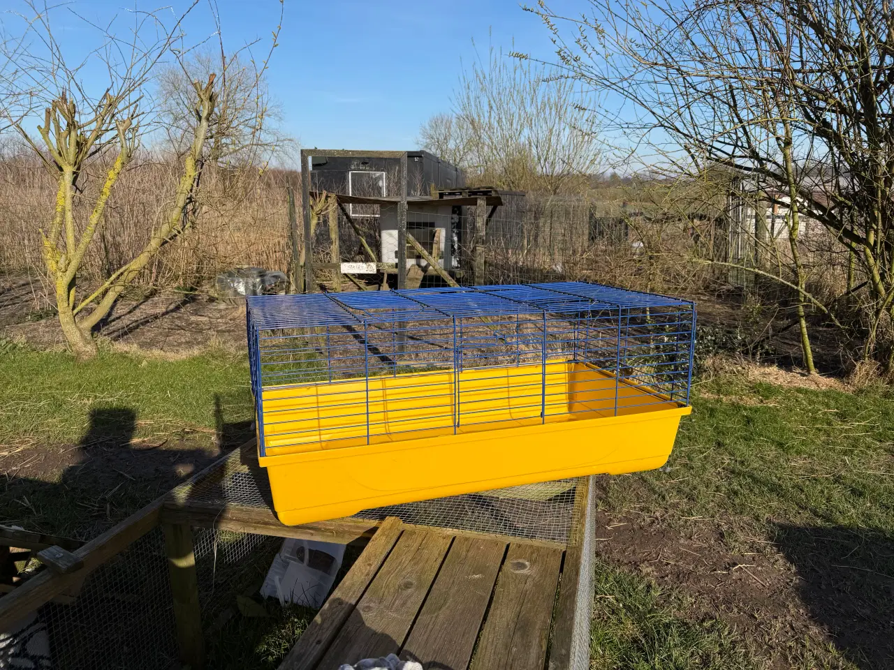 Billede 3 - Inde og udendørs bure