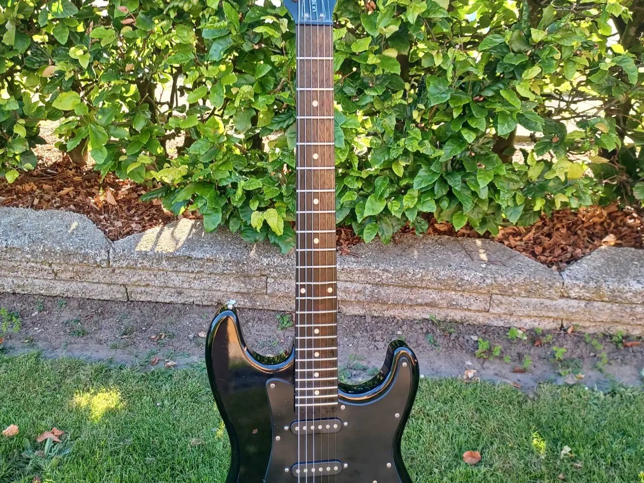 Billede 1 - Rockwood by Hohner elguitar 