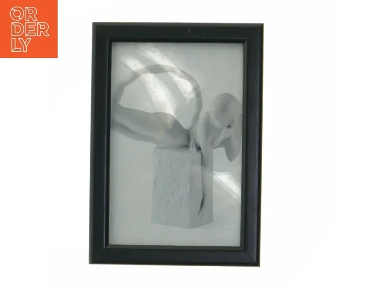 Billede 1 - Stjernetegns billede af royal copenhagen scorpion Sort billedramme med kunstbillede (str. 17x12,5 cm)