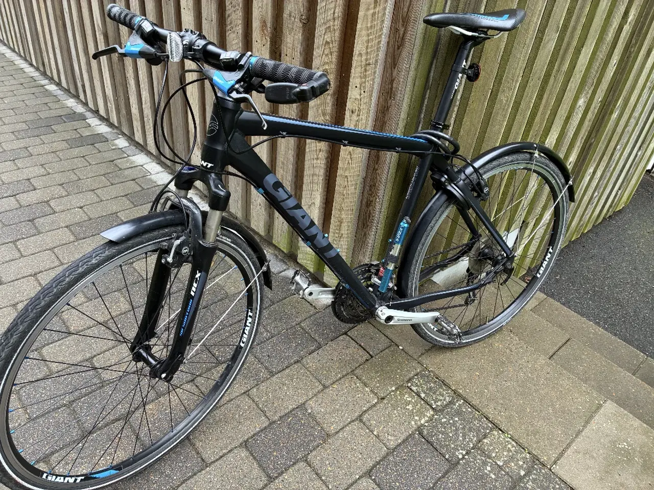 Billede 1 - Giant Roam 