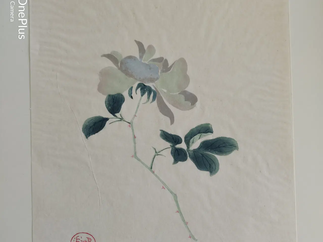 Billede 4 - blomster illustrationer, gl. kinesiske