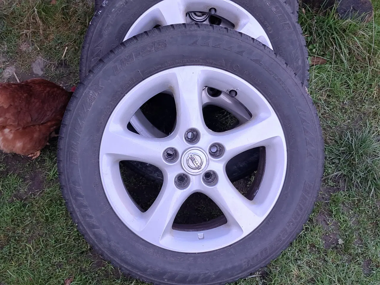 Billede 2 - Vinterdæk Nissan Primera