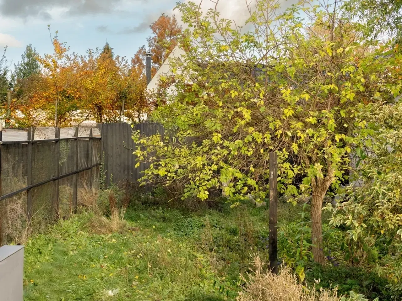 Billede 15 - Potentiale med puls. Projekt med retning.