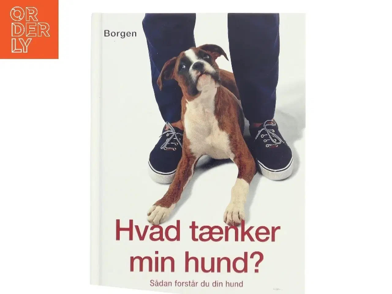 Billede 1 - Hvad tænker min hund? : sådan forstår du din hund af Gwen Bailey (Bog)