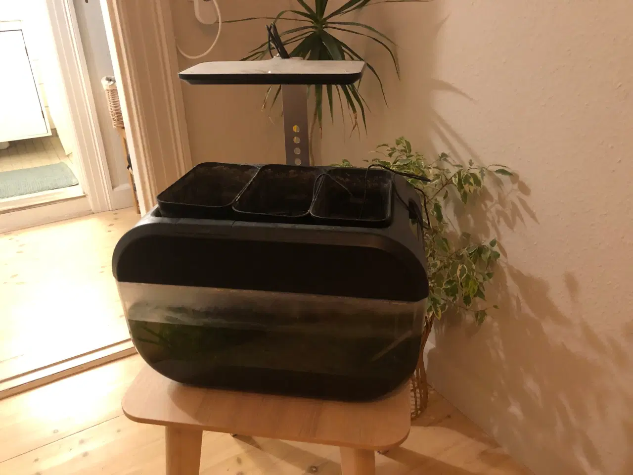 Billede 1 - Akvarium, 24 liter, b: 50 d: 33 h: 40