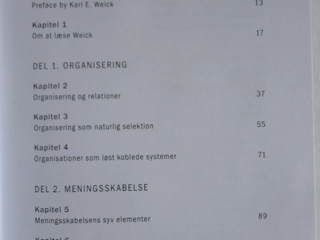 Billede 2 - Meningsskabelse, organisering og ledelse  :