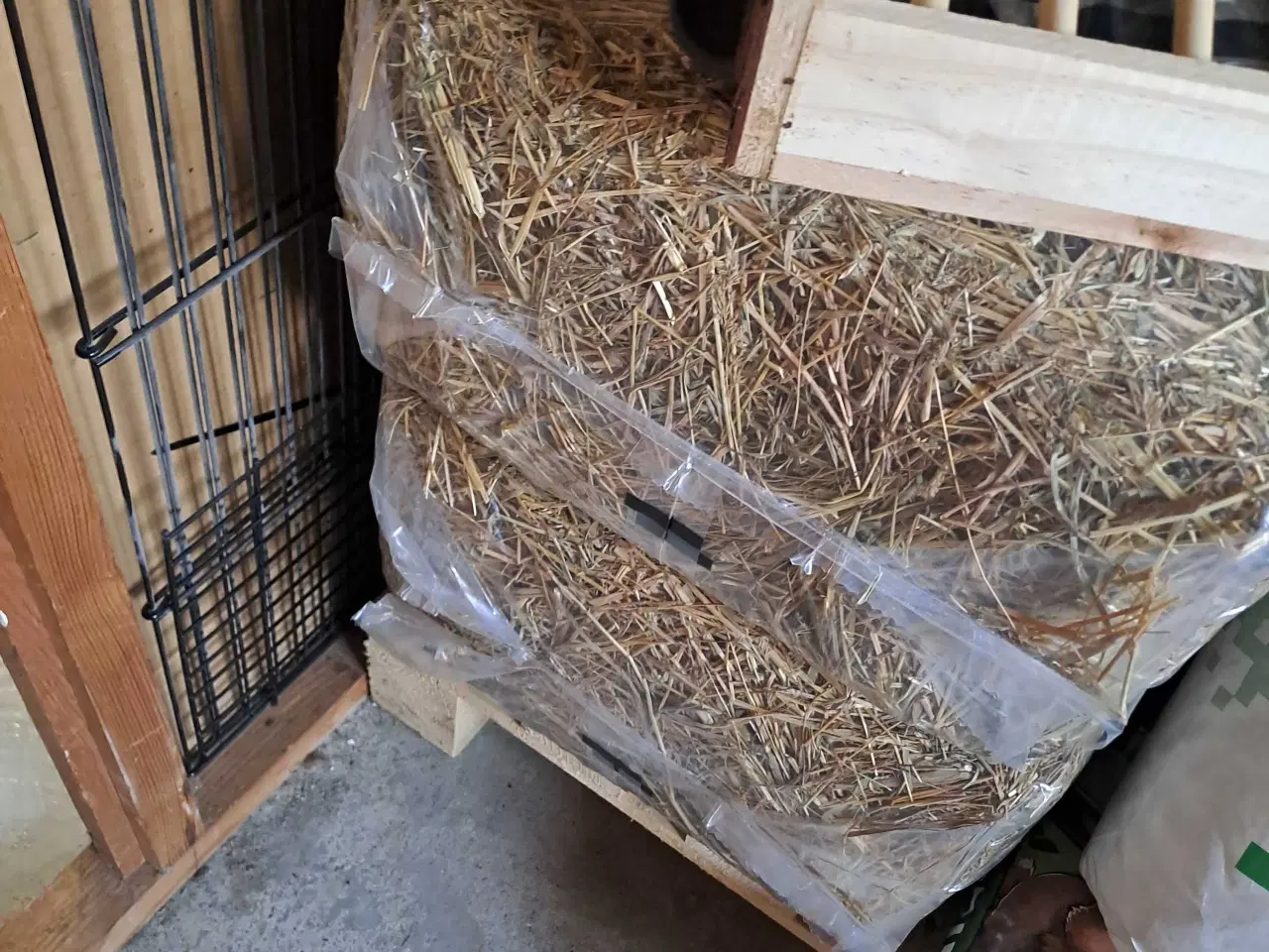 Billede 4 - Kanin med ALT tilbehør 