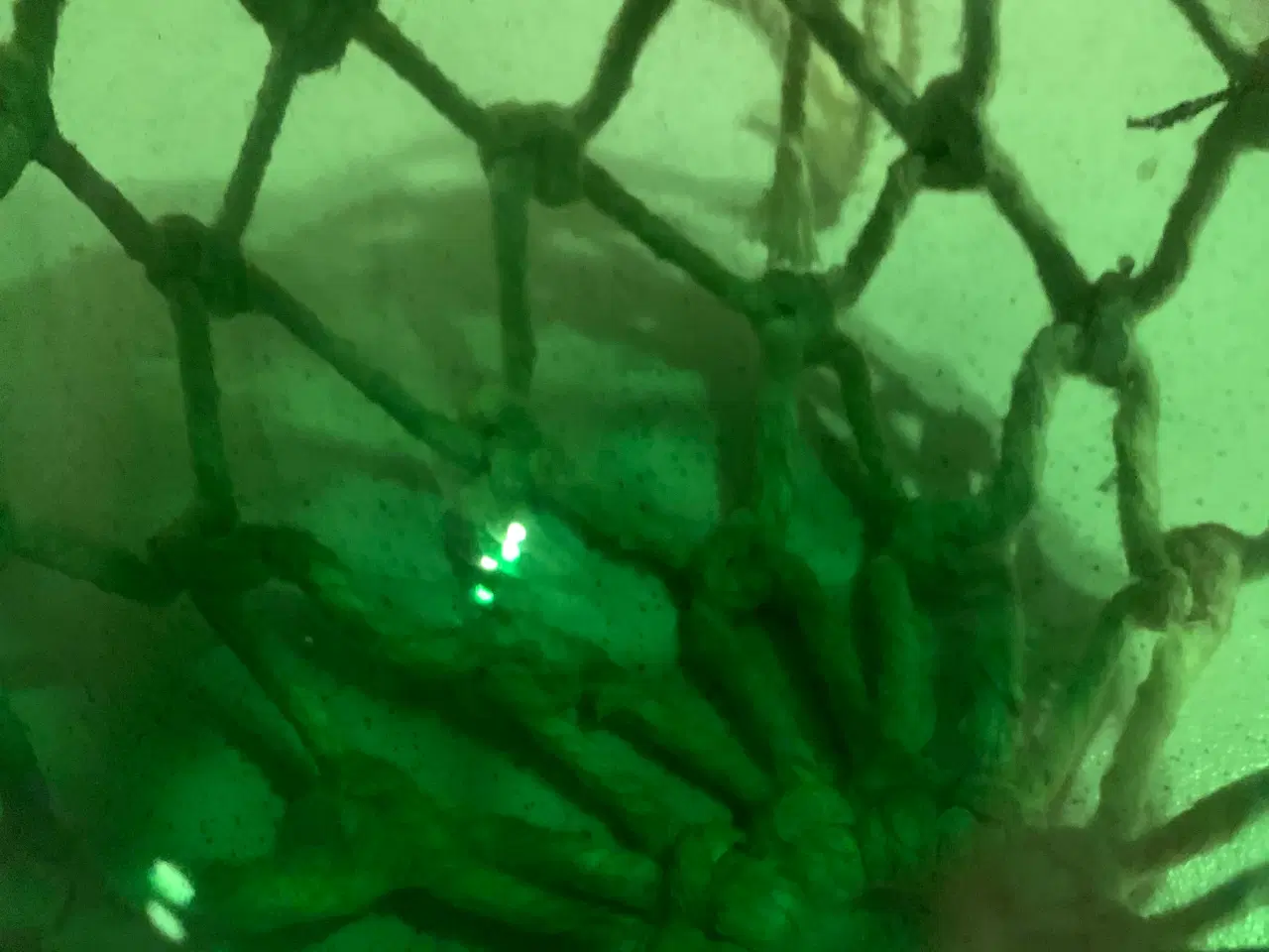 Billede 4 - 2 Gamle fiskekugler i flot grøn