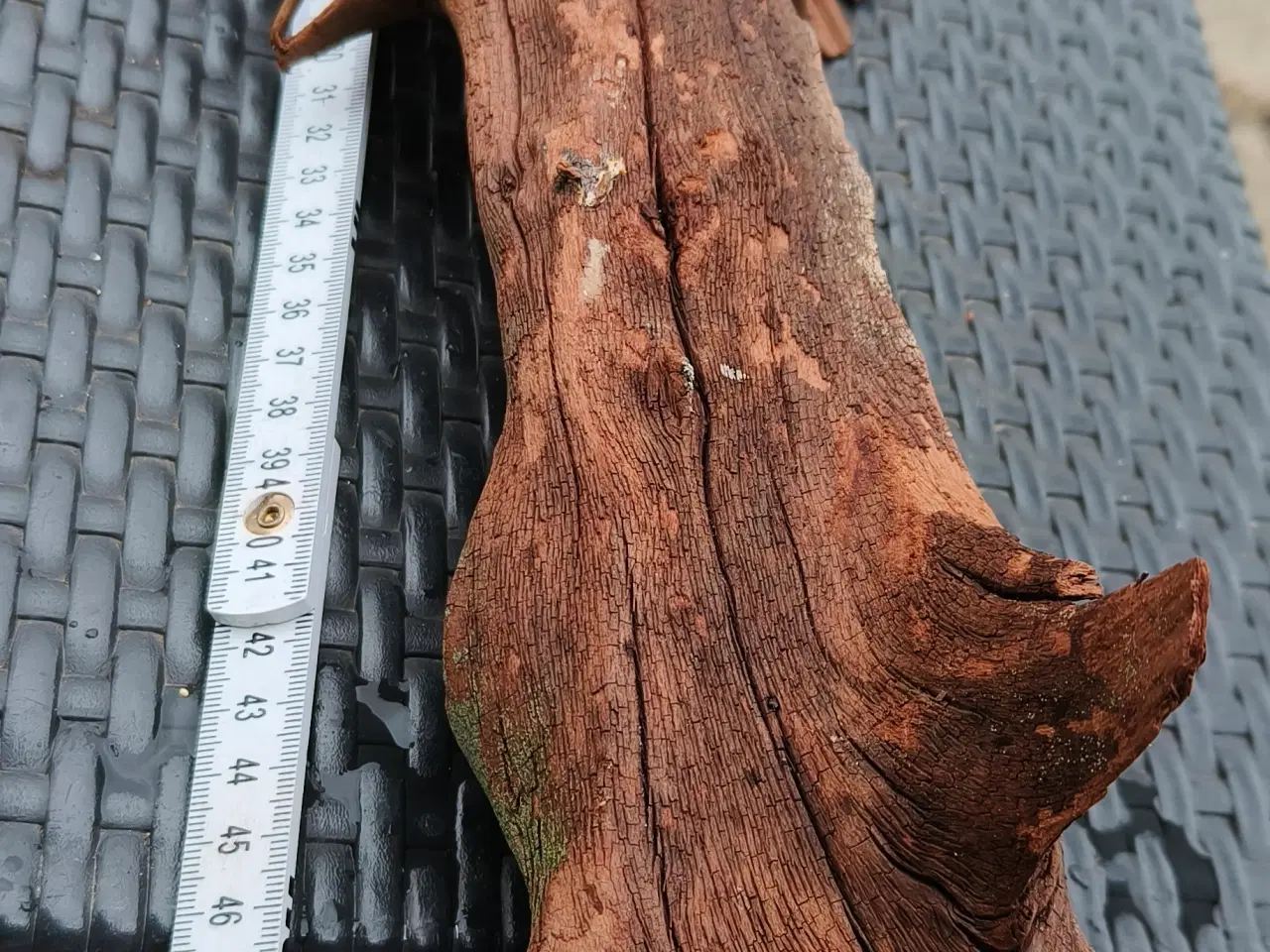 Billede 2 - Flotte trærødder sælges