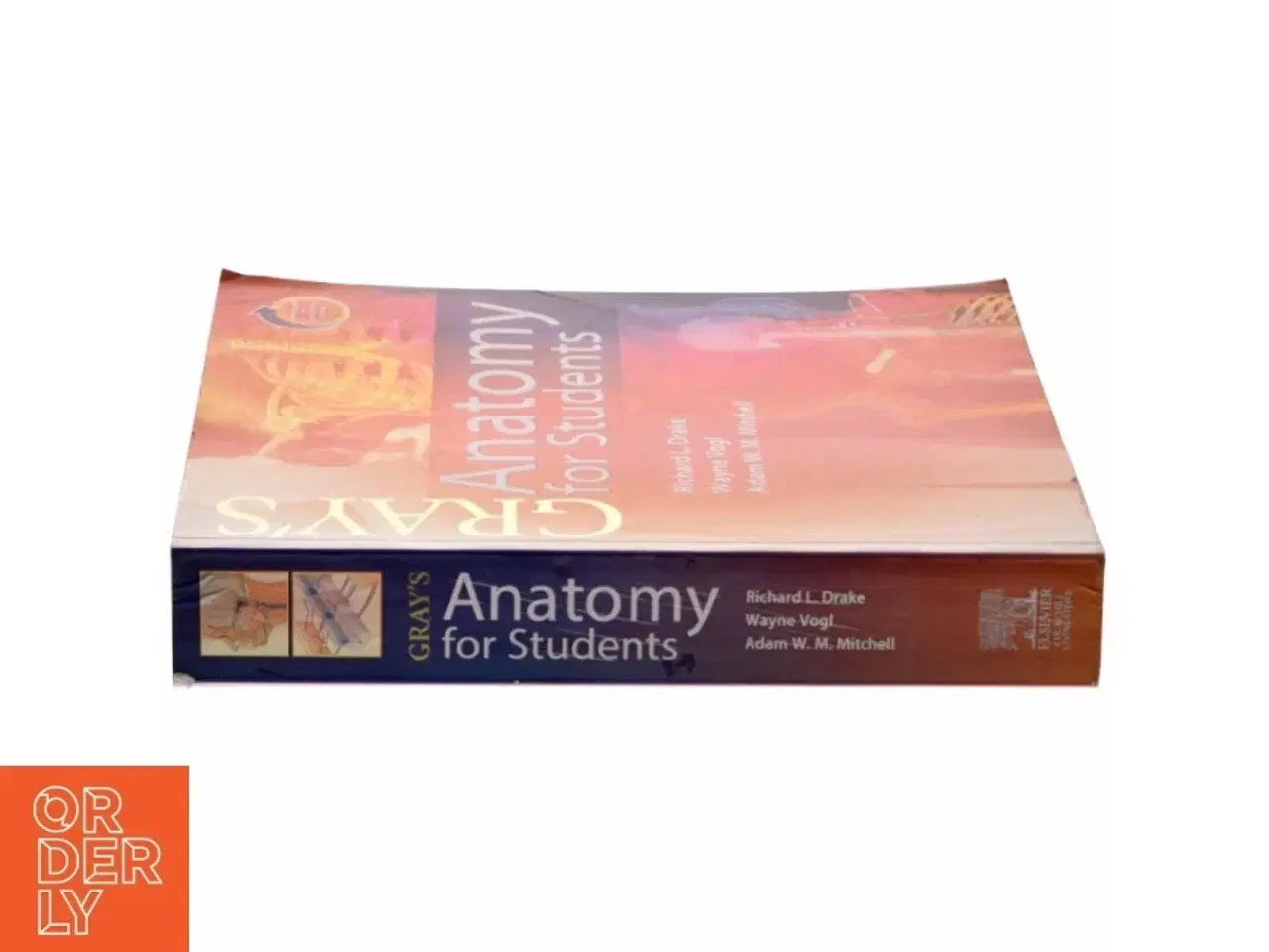 Billede 2 - Gray&#39;s anatomy for students (Bog)