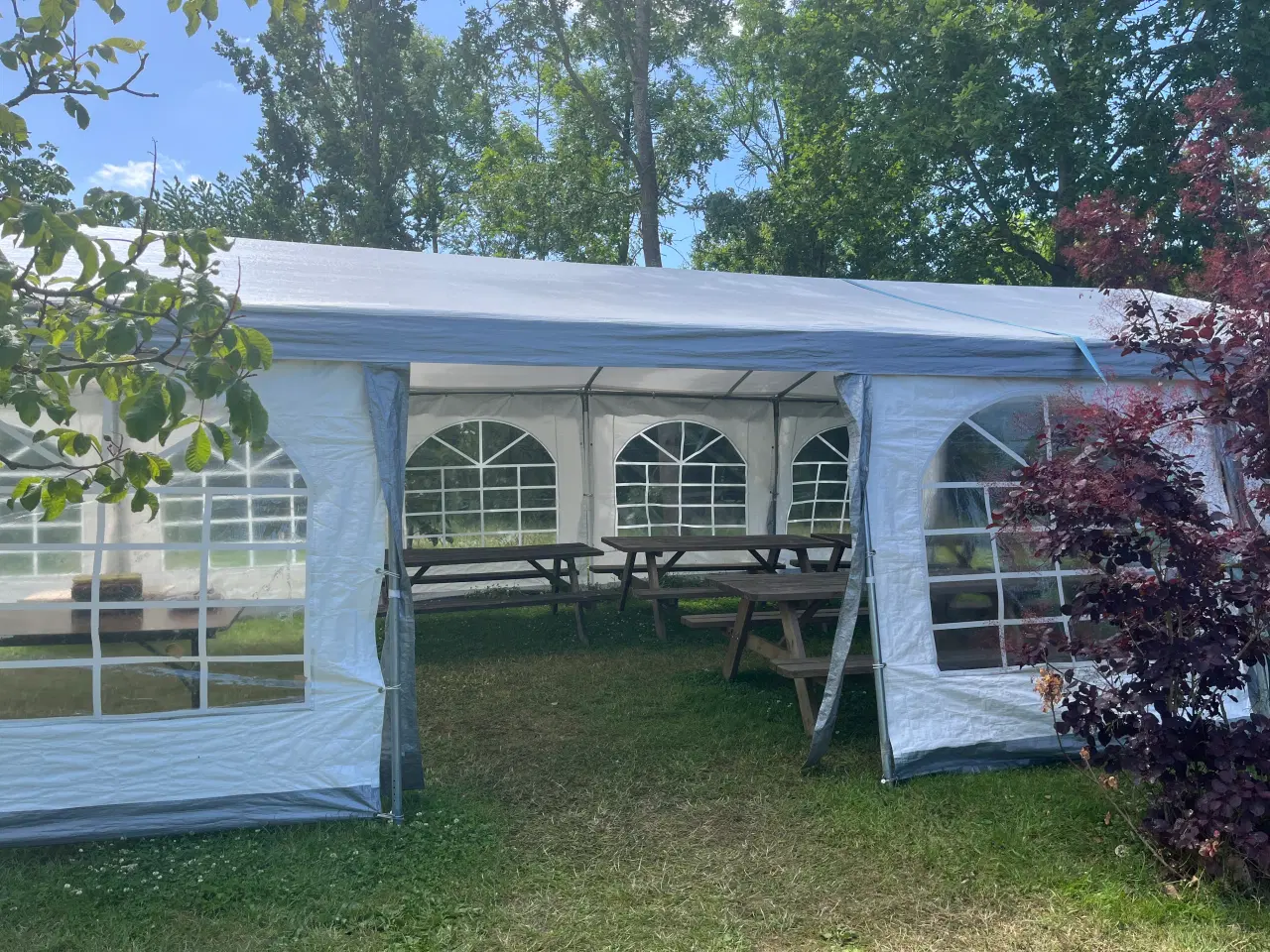 Billede 1 - Party-telt 5x10 meter