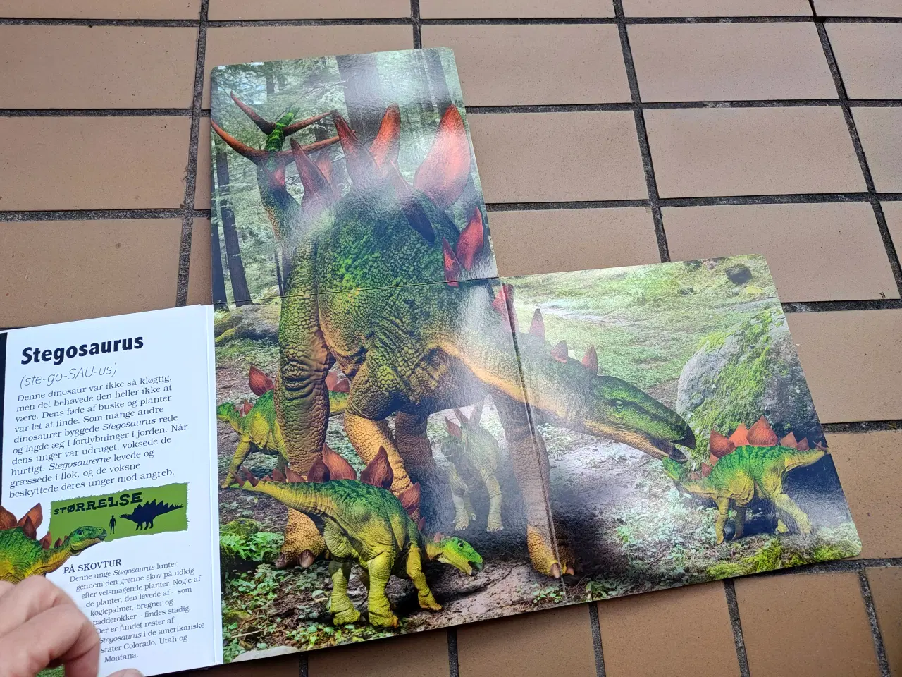 Billede 2 - Drabelige Kæmpe Dinosaurer Bog Foldeud bog