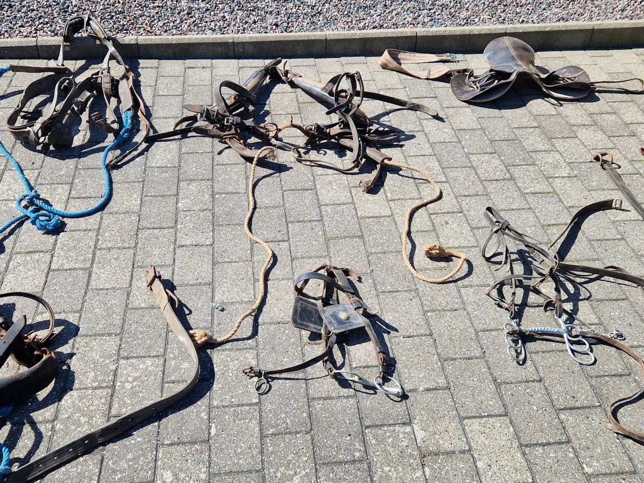 Billede 4 - Seletøj til heste 