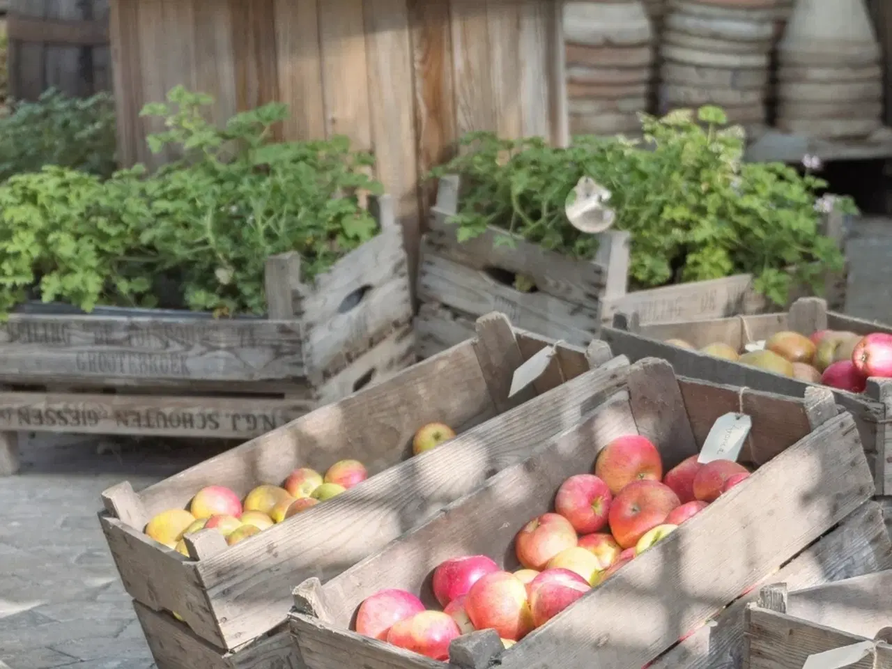 Billede 11 - Blandet bolig- og erhvervsejendom med mulighed for videreudvikling