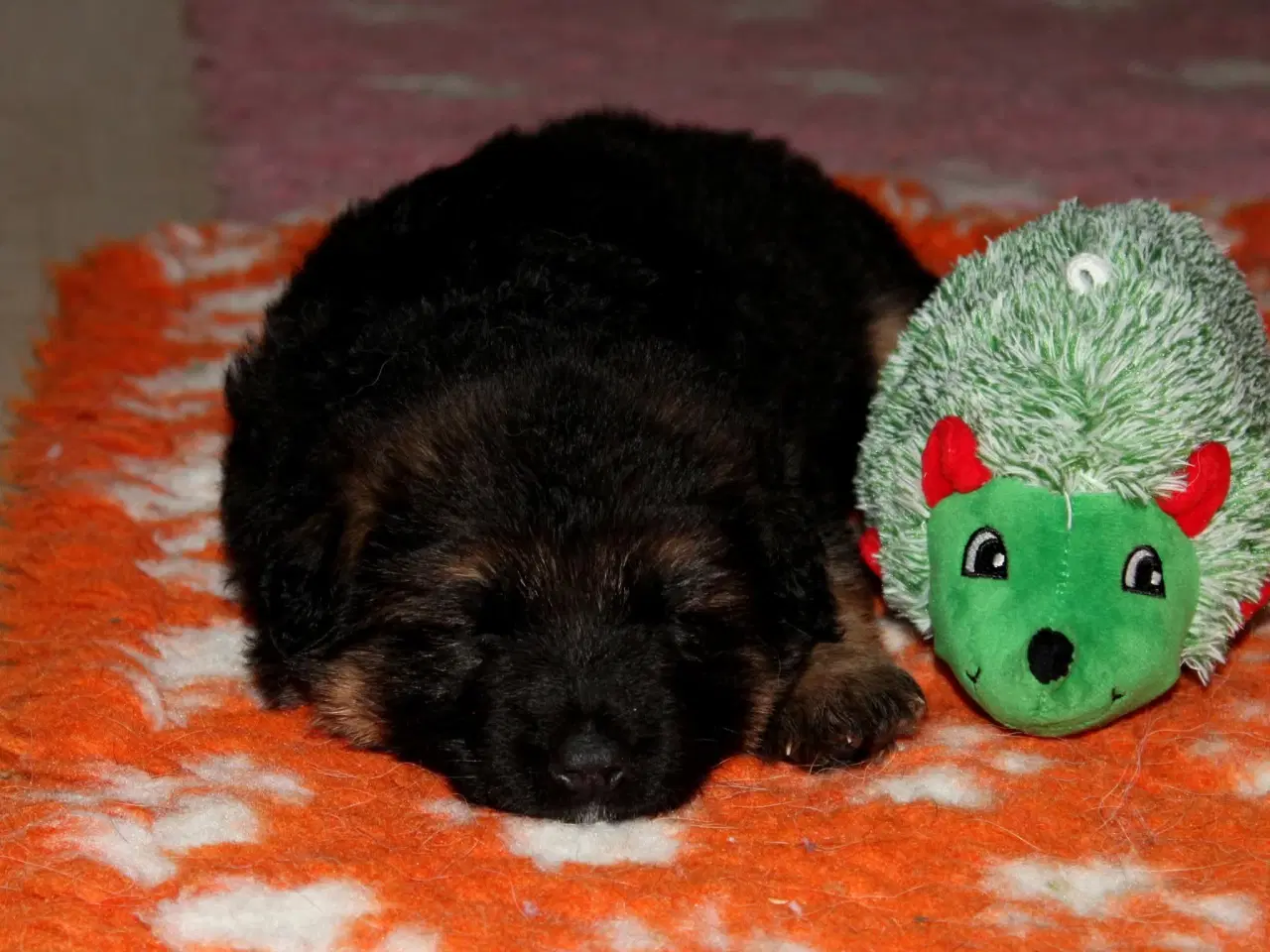 Billede 5 - Fynske julebamser! 