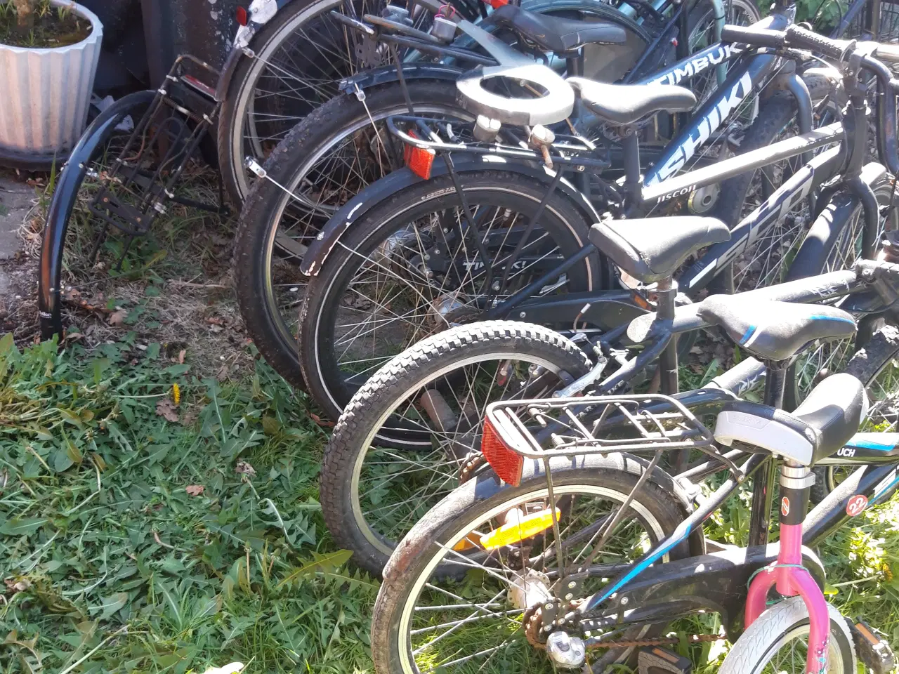 Billede 2 - 7 stk cykler+1 hjulet i Børne/voksen str sælges 
