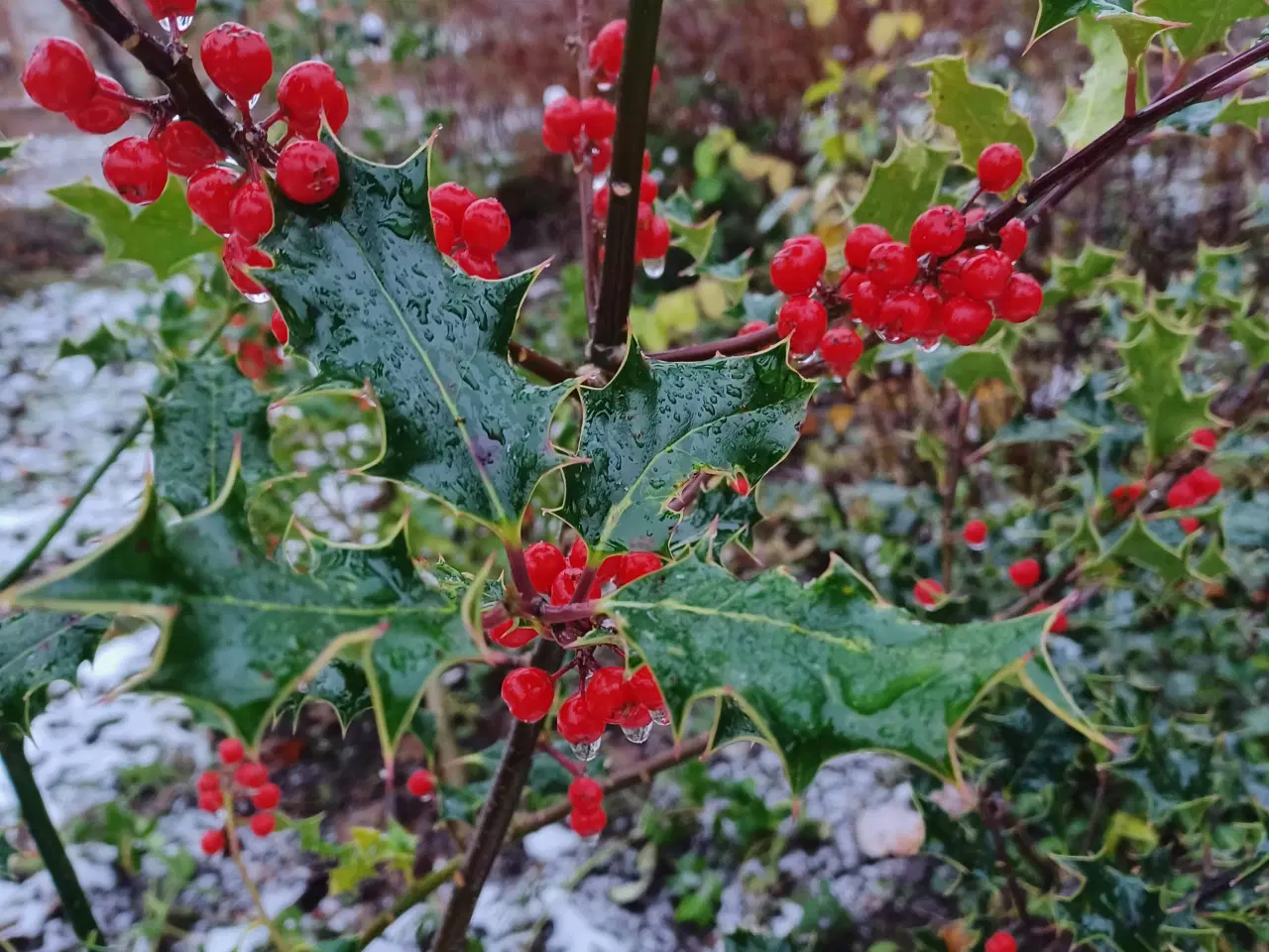 Billede 3 - Dekorationsmateriale til krukker, kranse mm.