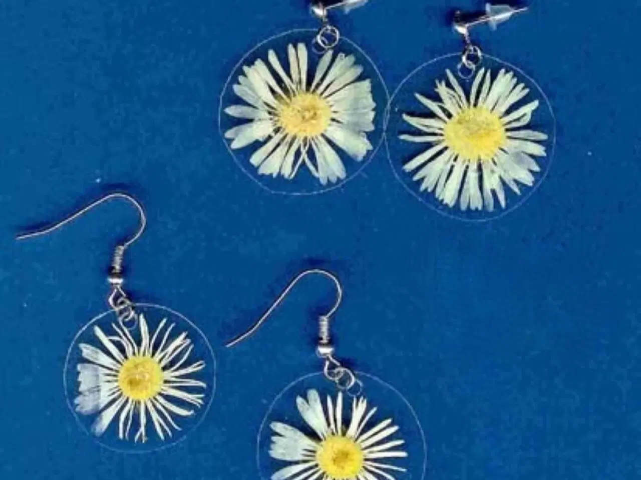 Billede 4 - Øreringe / ørestikker / øreclips med bellis blomst