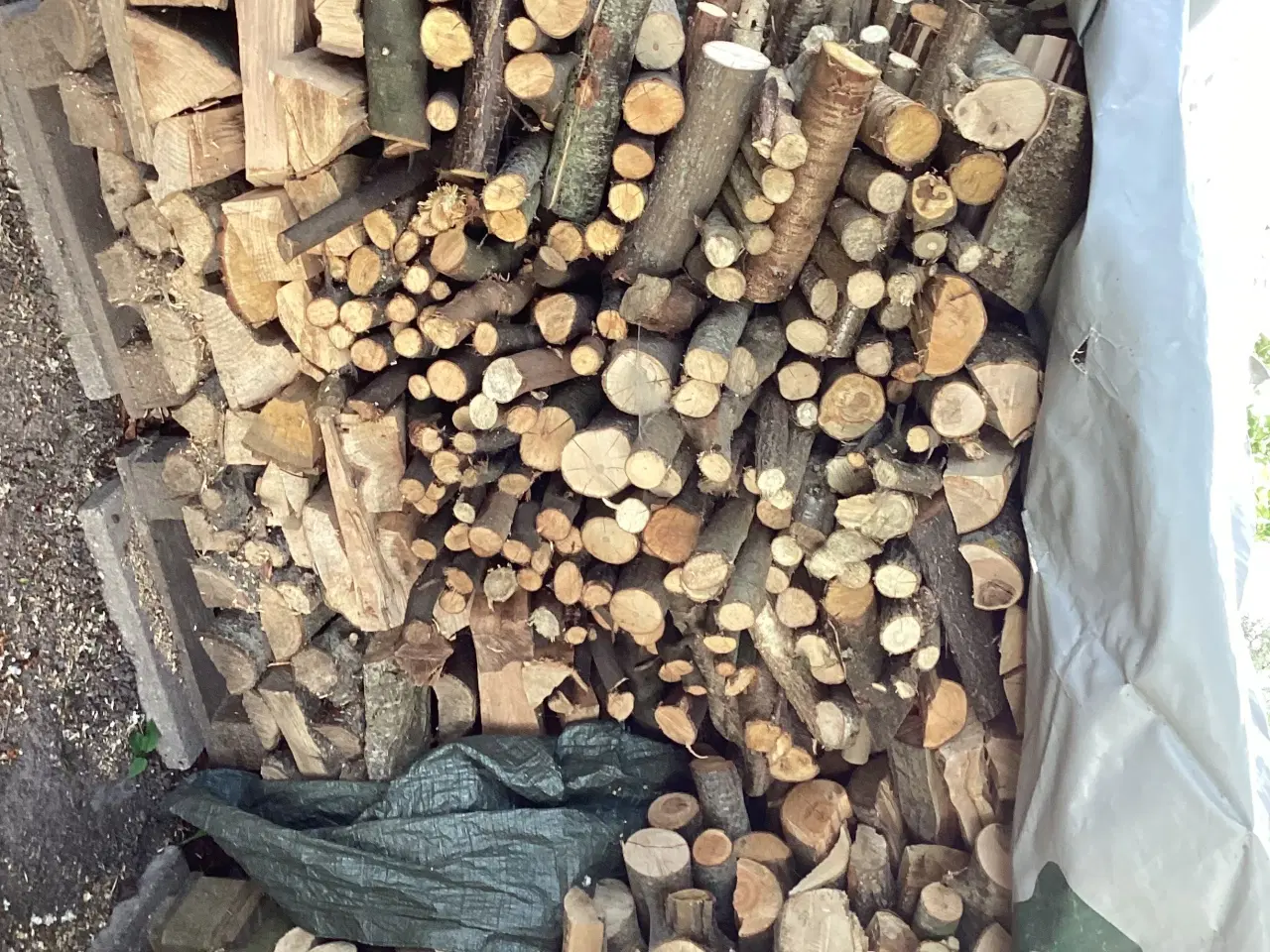 Billede 1 - Brænde. Blandet løvtræ, savet og kløvet
