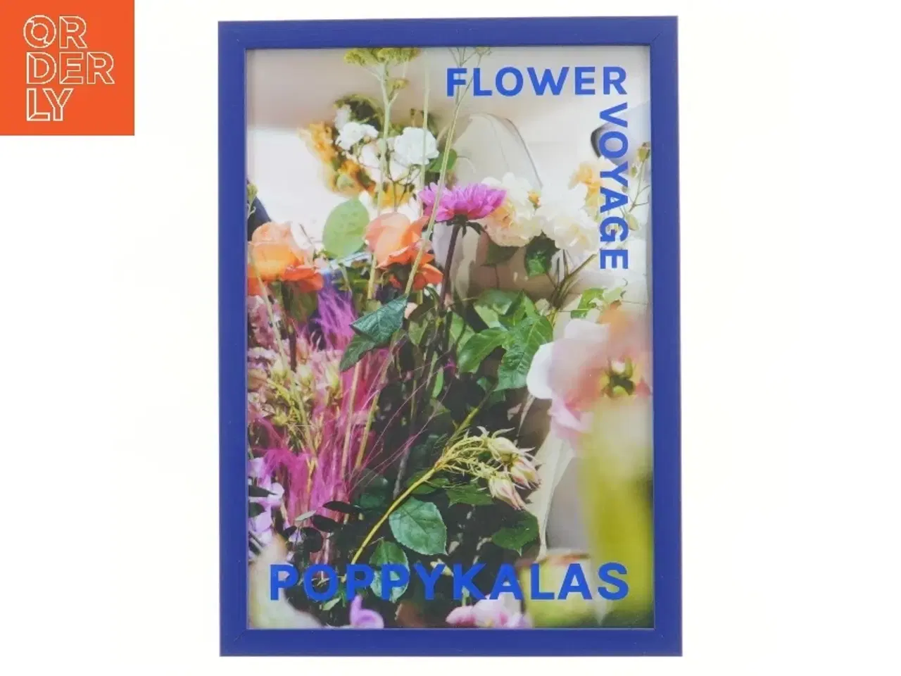 Billede 1 - Poppy Kalas Flower voyage indrammet poster/plakat (str. 32x23 cm)