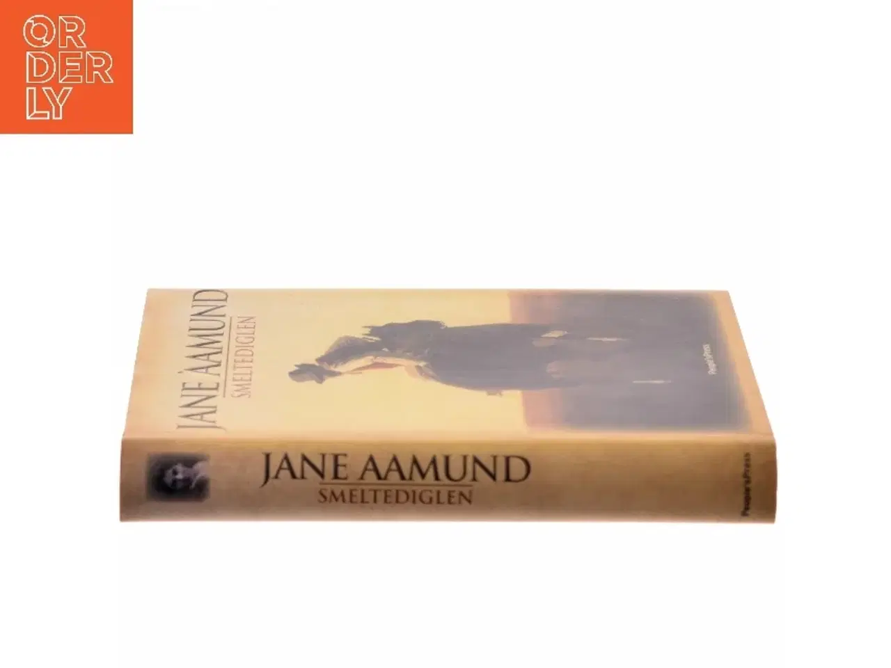 Billede 2 - Smeltediglen : andet bind i slægtskrøniken om de dansk-argentinske indvandrere : roman af Jane Aamund (Bog)