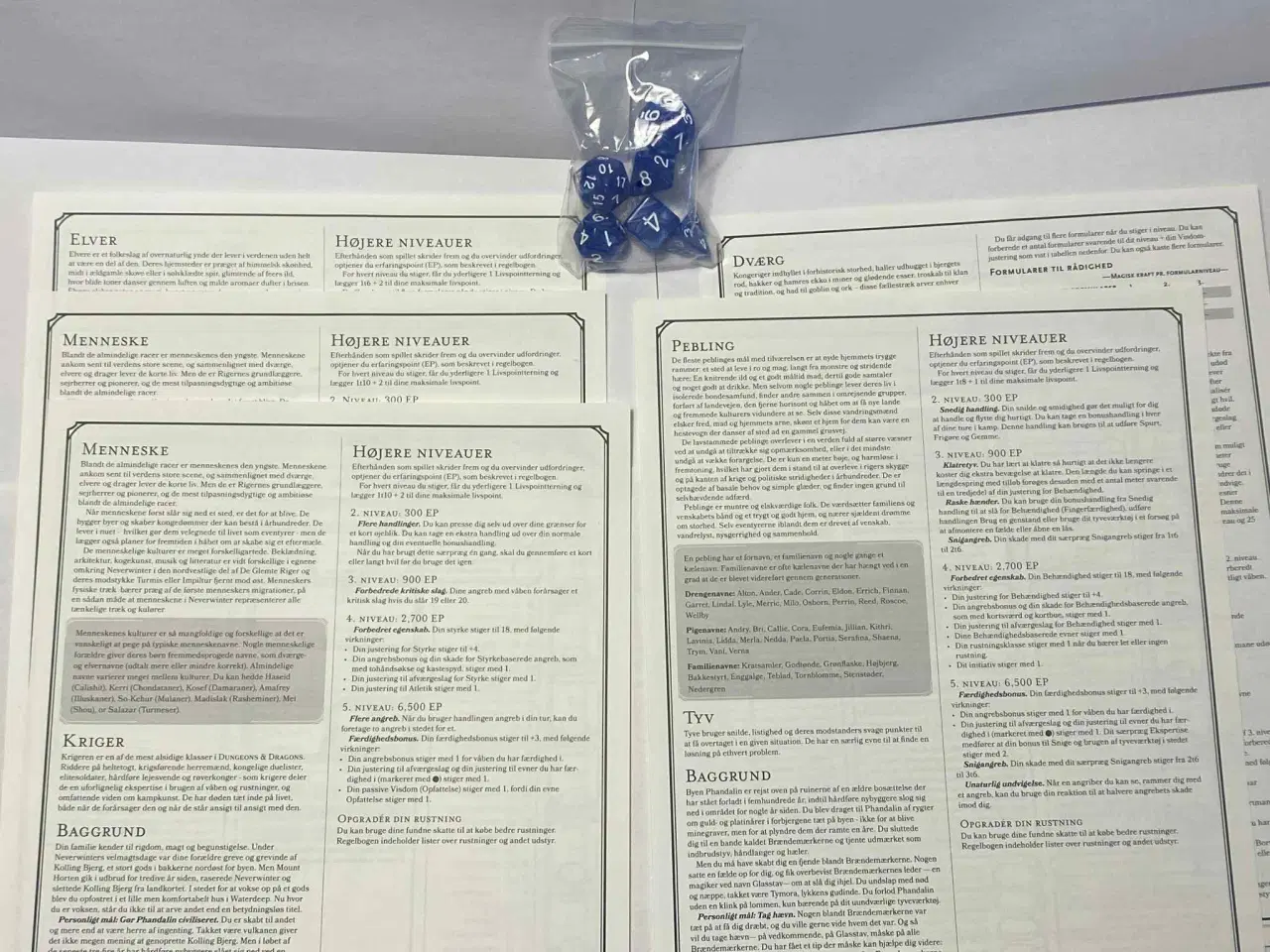 Billede 3 - D&D Begyndersæt