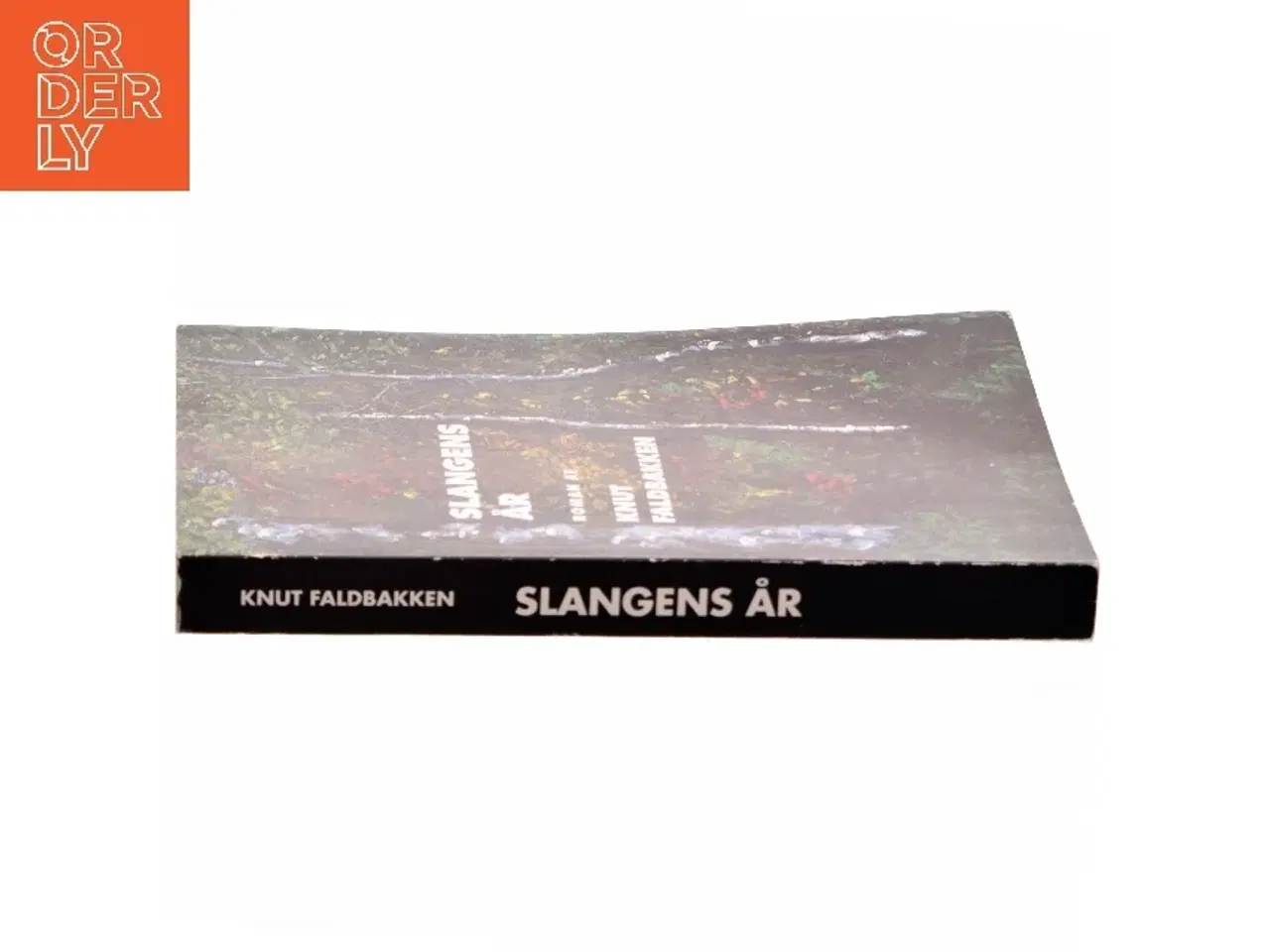 Billede 3 - Slangens år af Knut Faldbakken (Bog)