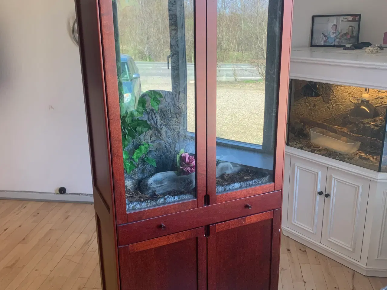 Billede 2 - Terrariemøbel