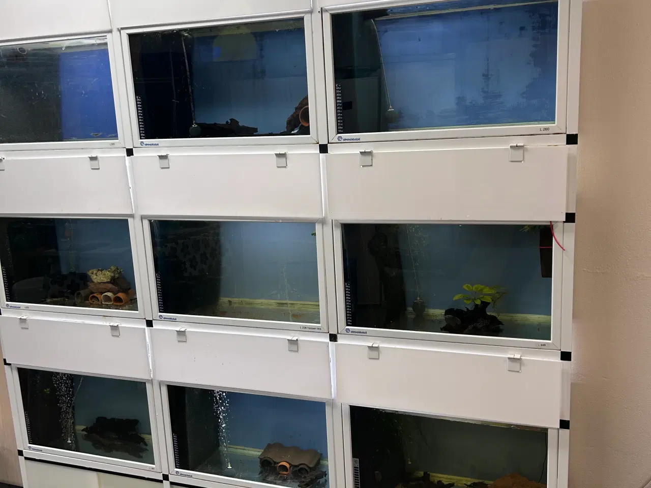 Billede 2 - Akvarium reol