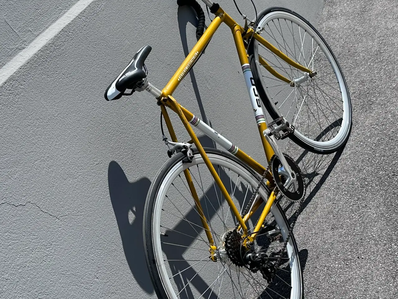 Billede 3 - Guld SCO verdensmestercykel herreracer
