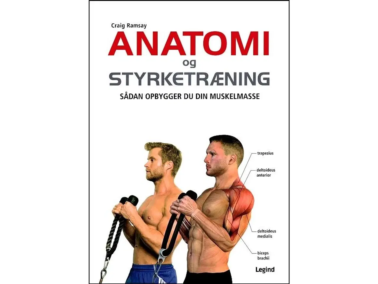 Billede 1 - Anatomi og Styrketræning