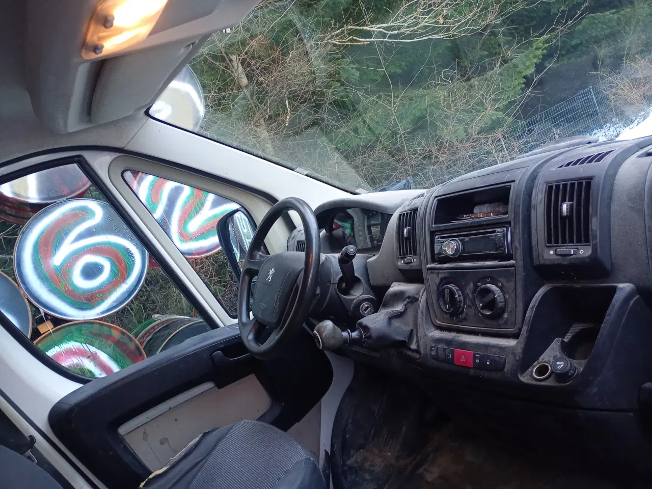 Billede 5 - Boxer sælges da den er kommet i overskud