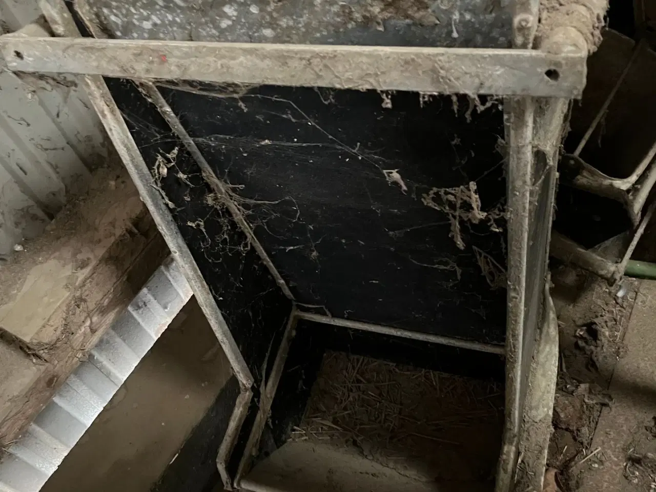 Billede 1 - - - - til kvæg