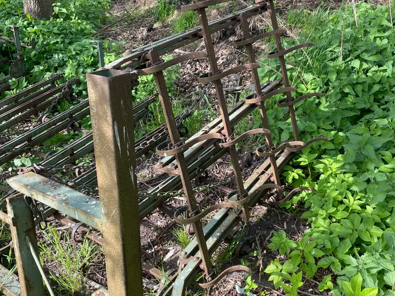 Billede 1 - Muldharve tror jeg det er 