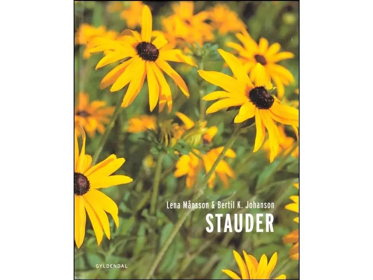 Billede 1 - Stauder
