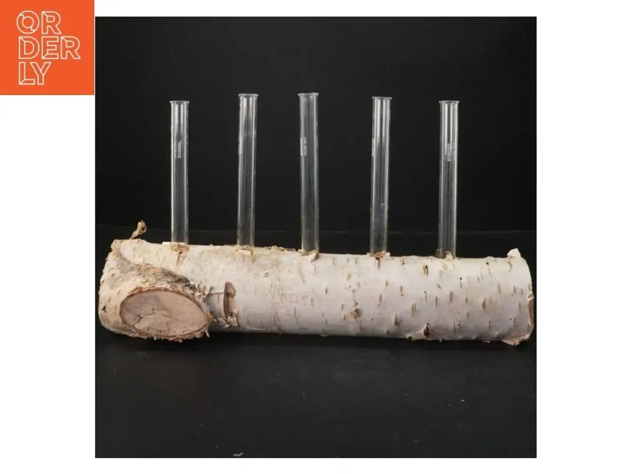 Billede 1 - Unik blomsterholder i birketræ med reagensglas (str. 35x21 cm)