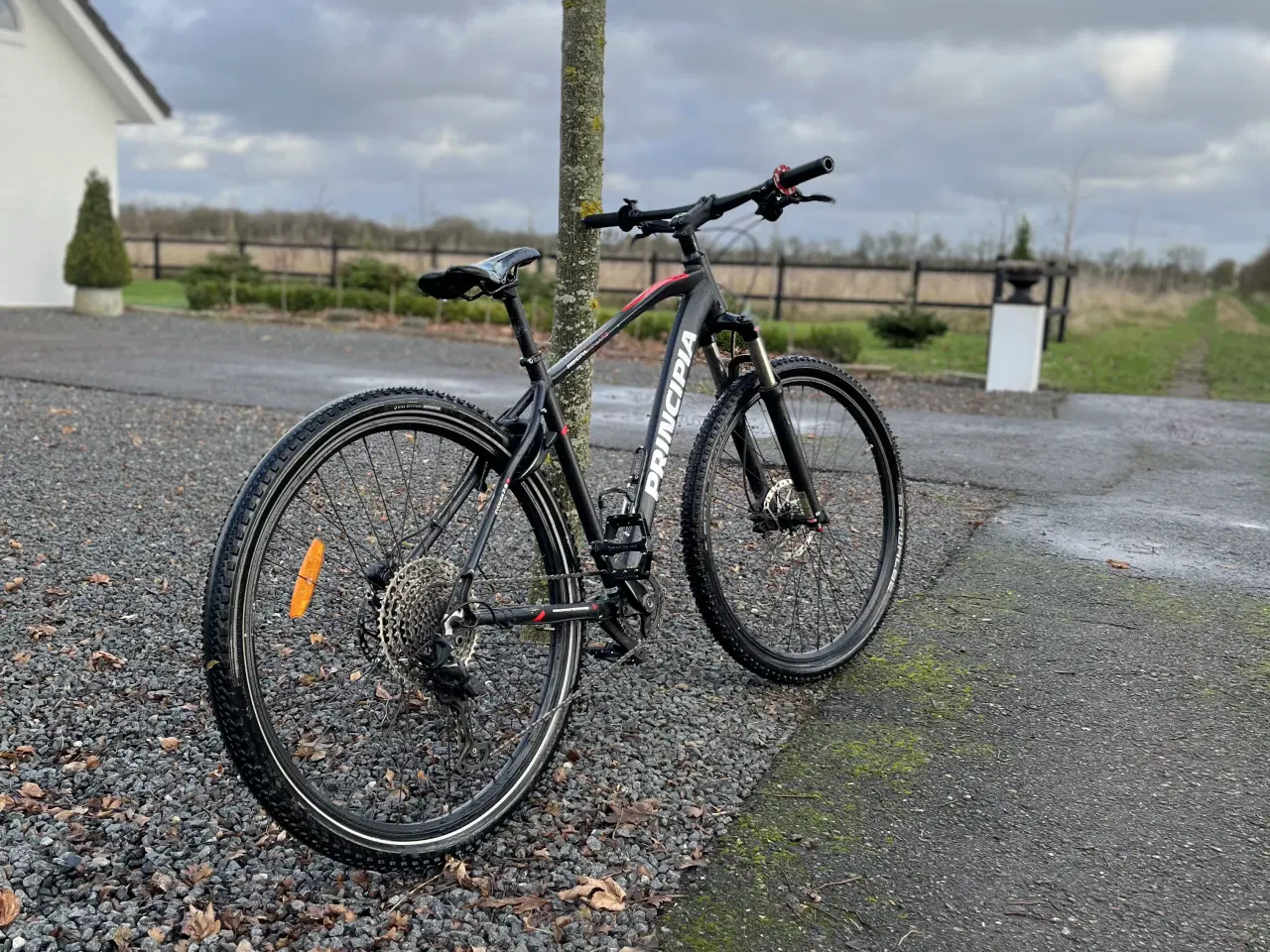 Billede 1 - Principia mountainbike 