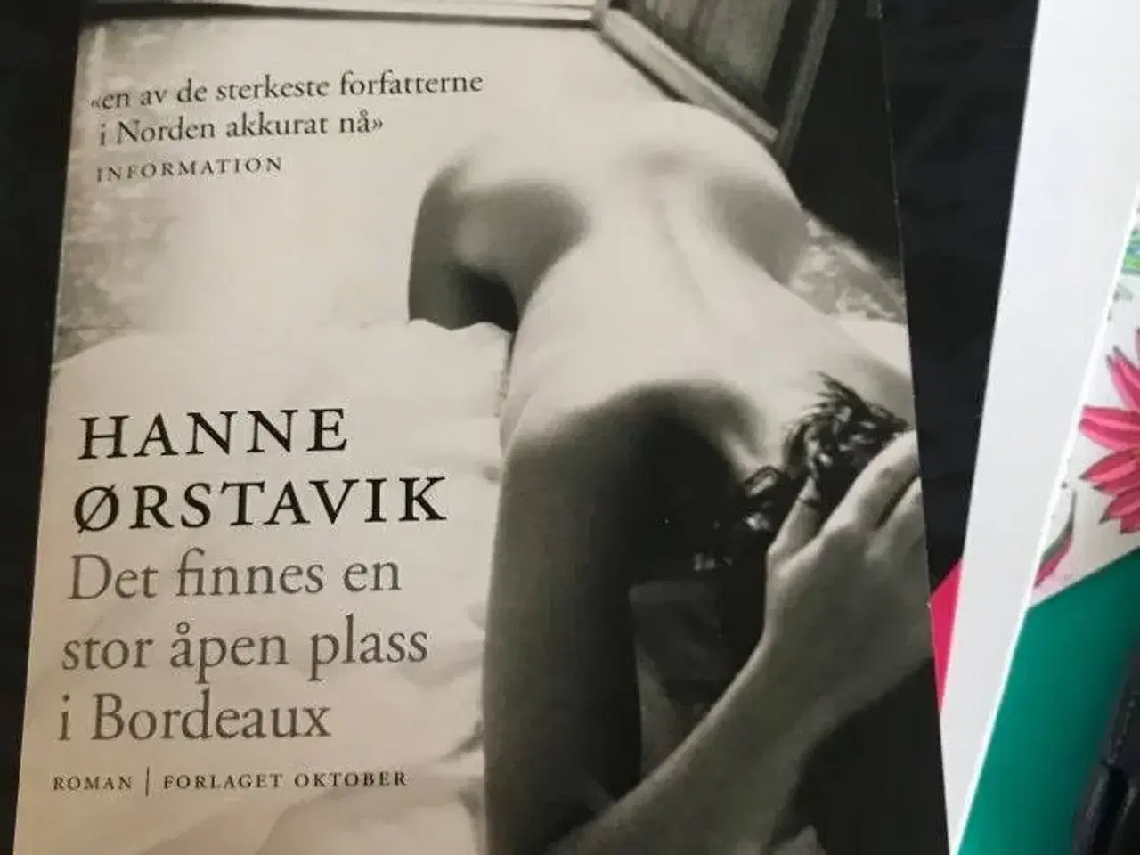 Billede 1 - Hanne Ørstavik bog til salg 
