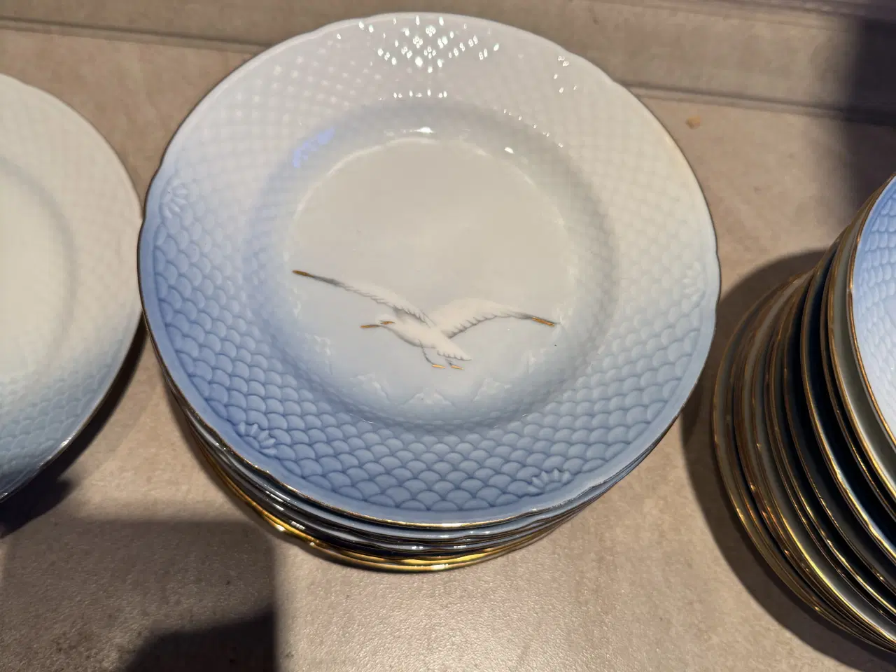 Billede 5 - Forskelligt mågestel